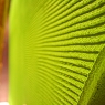 2007_0901画像0026.jpg